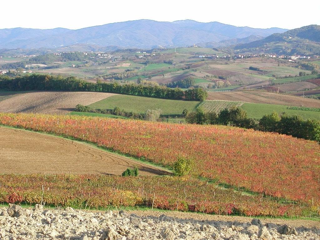 Villa Dei Romaniani Villaromagnano Luaran gambar