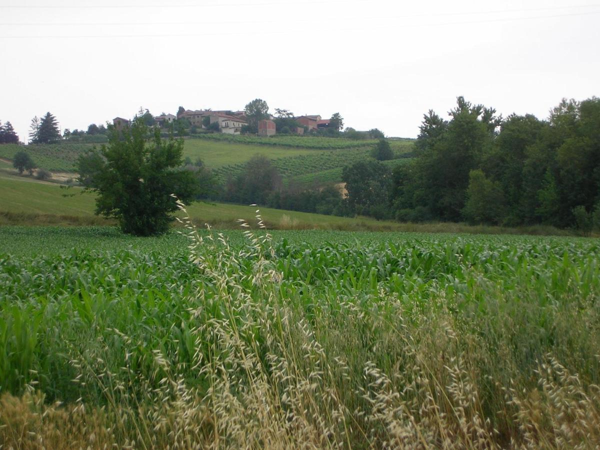 Villa Dei Romaniani Villaromagnano Luaran gambar